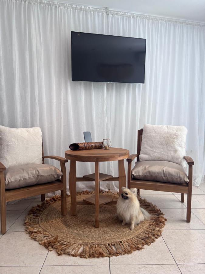 Boutique Casa Lapicida Hotel Calpe Luaran gambar
